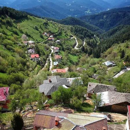 Дом отдыха зора *