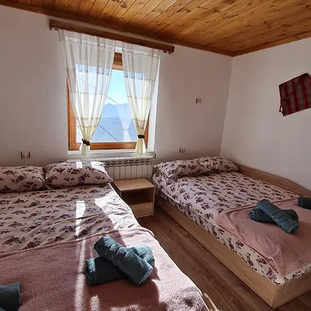 зора *