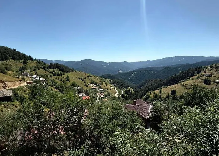 зора צ'פלארה