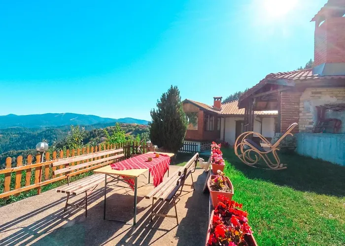 зора צ'פלארה