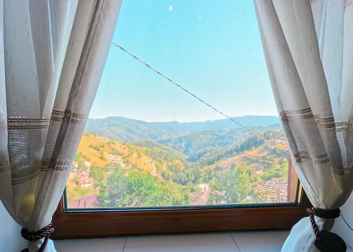 зора בית נופש